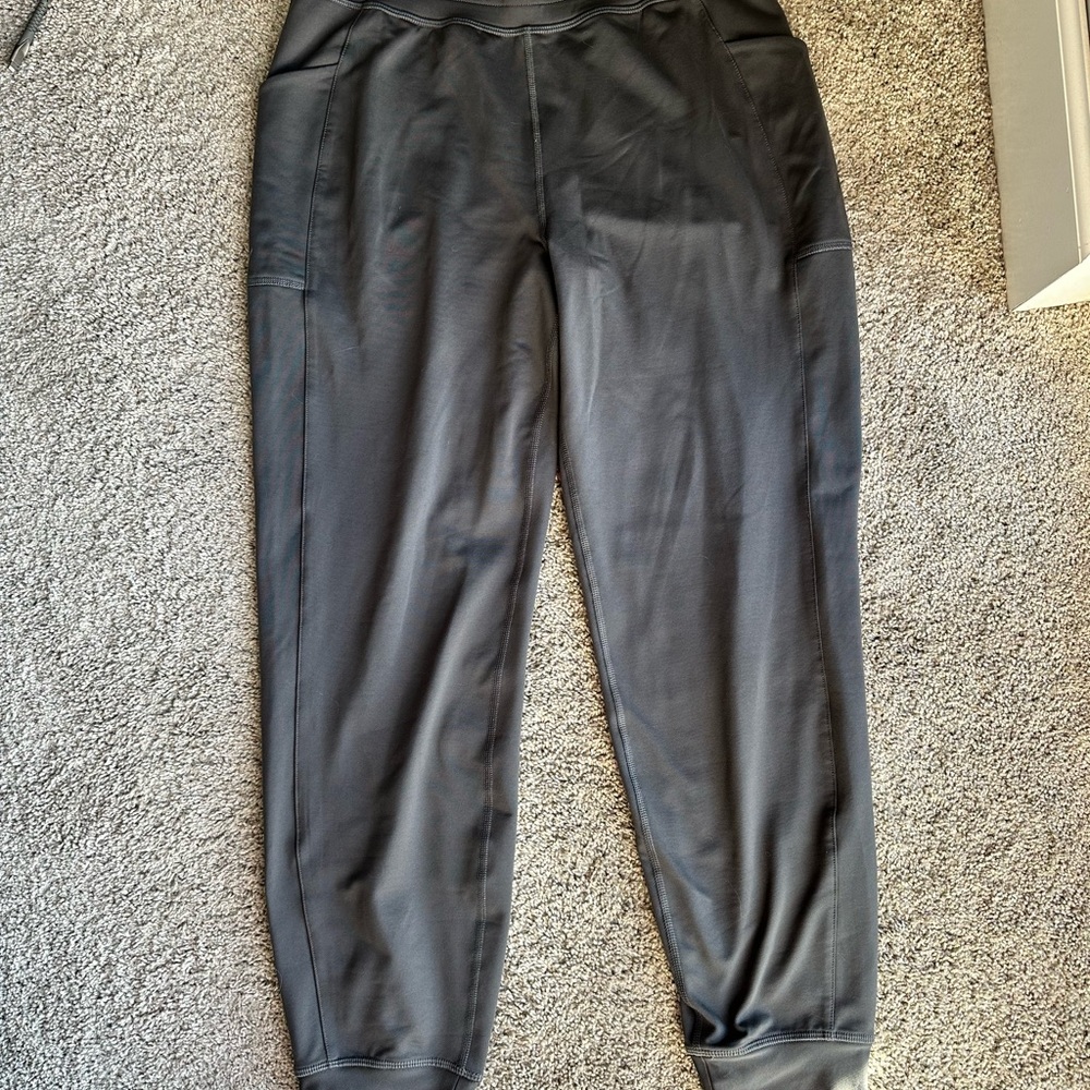 Stylish Fabletics Jogger Pants